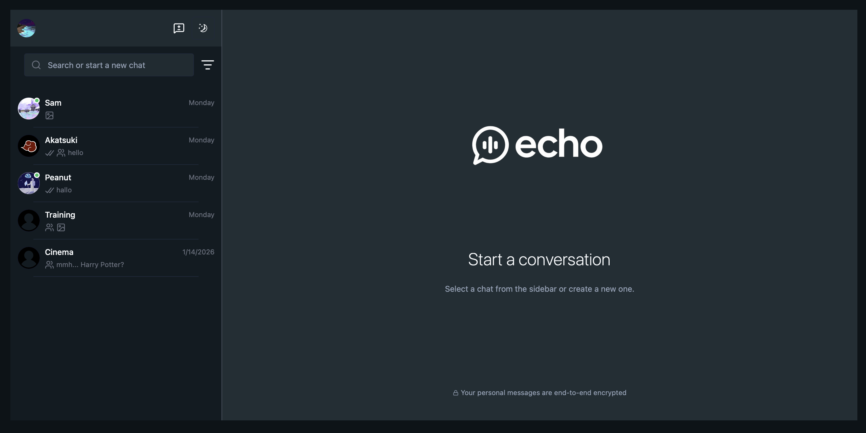 Echo chat app screenshot